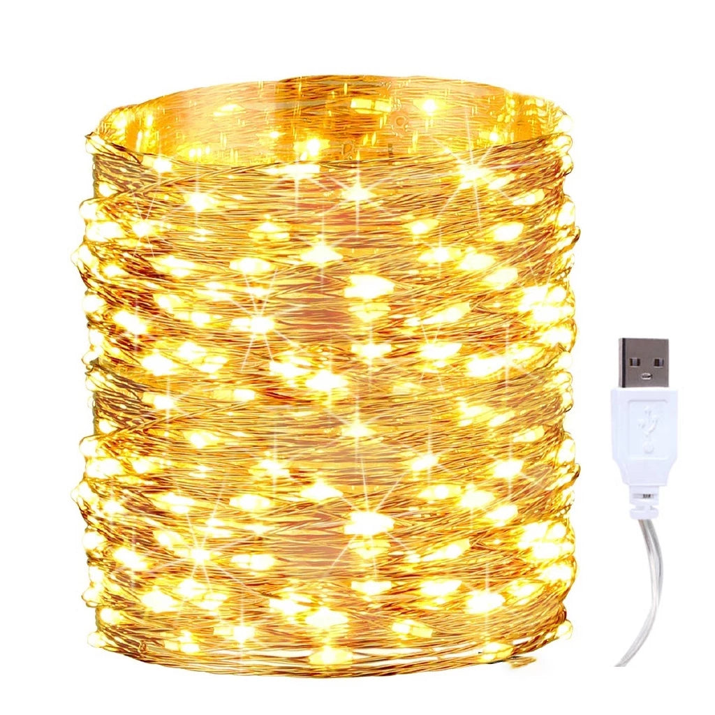 10M LED Fairy String Lights Bulb Ball Lamp