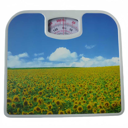 Manual Analog Mechanical Scale Random Color and Designs – 120kg Capacity